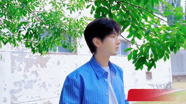 2023微博涨粉明星top10有你家那位么#白鹿